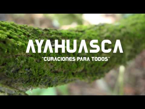 AYAHUASCA-ICAROS,  "Curaciones para todos"