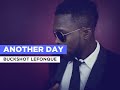 Buckshot LeFonque - Another Day (1997) [High Quality]
