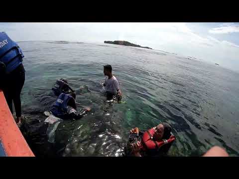 download lagu mp3 mp4 Harga Snorkeling Di Pulau Seribu, download lagu Harga Snorkeling Di Pulau Seribu gratis, unduh video klip Harga Snorkeling Di Pulau Seribu