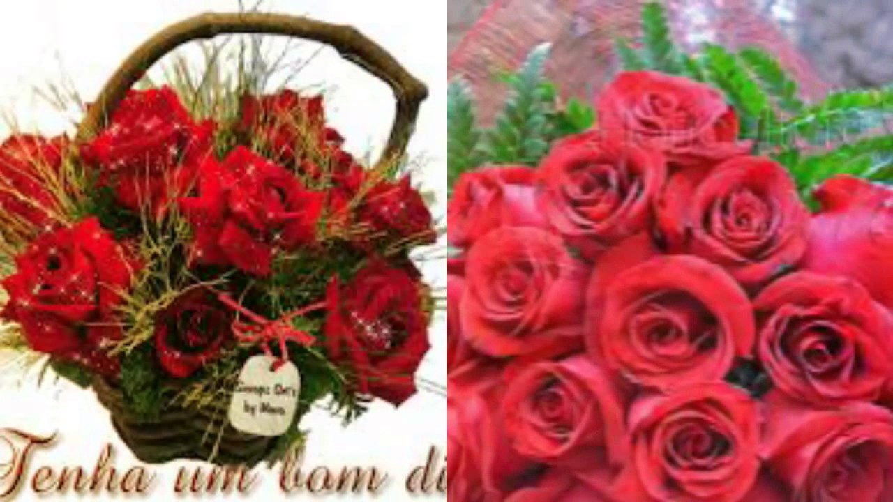 BOM DIA com rosas