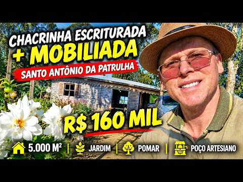 Vídeo