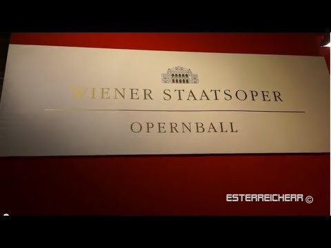 Opera Ball 2013 (visitors, police operation)
