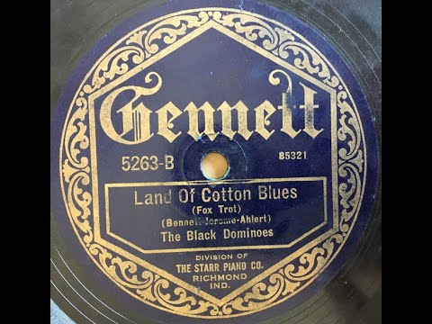 The Black Dominoes "Land Of Cotton Blues" 1923 Hot Jazz 78 RPM Miff Mole