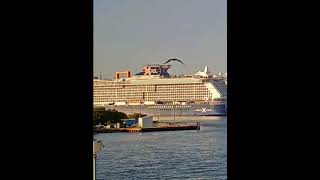 MV Celebrity Xcel in Port Everglades #cruiseship #celebritycruises #porteverglades #travel