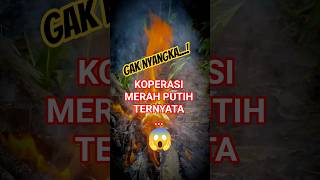 Download lagu KOMEDI ABSURD HUMOR SORE #ngakak #ksp #shorts  #koperasimerahputih mp3