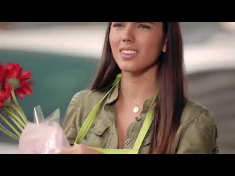 11 y 6 BITOQUEAO (Video Oficial )