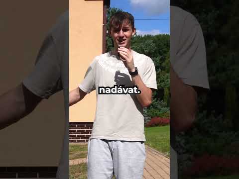 Mám novou KOČKU 🐈