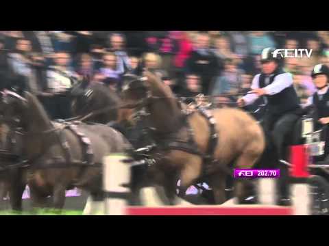 FEI World Cup™ Driving 2014/15 - Stuttgart - News