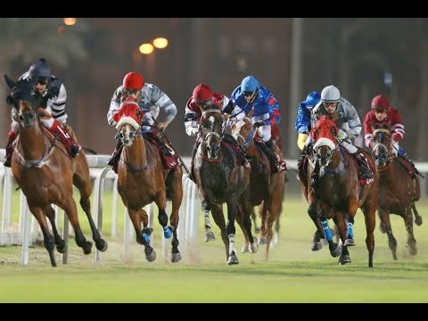 37th Race Meeting of Season 2017/2018