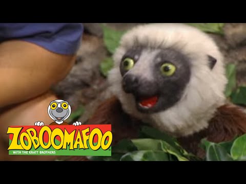 Zoboomafoo 201 - Snakebellies (Full Episode)