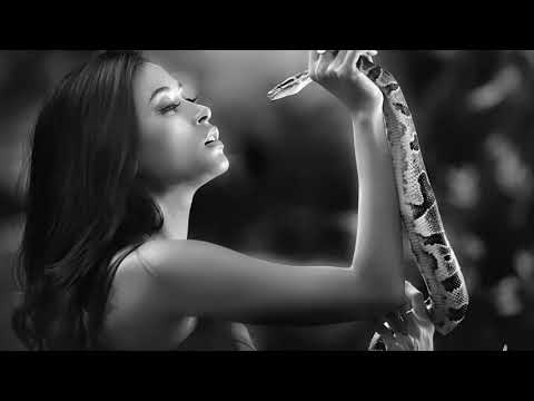 Candy Man & Dj Beekay - Caliberation (Original Mix)