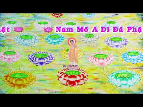 HD | Kinh A Di Đà Sớ Sao Diễn Nghĩa, tập 174 [phụ đề] - Lão Pháp Sư Tịnh Không