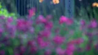 &quot;So Sorry&quot; by Lightnin&#39; Hopkins