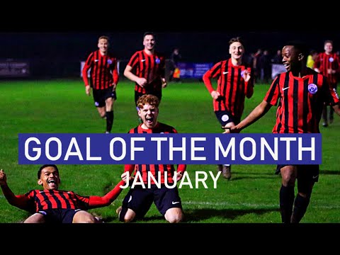 Goal of the Month | January