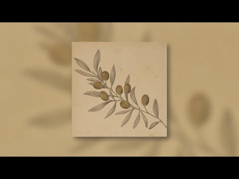 Andrea Vanzo and 2 more