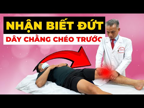 Tiếng KÊU "RẮC" & ĐẦU GỐI SƯNG VÙ: Có phải bạn ĐỨT DÂY CHẰNG CHÉO TRƯỚC?