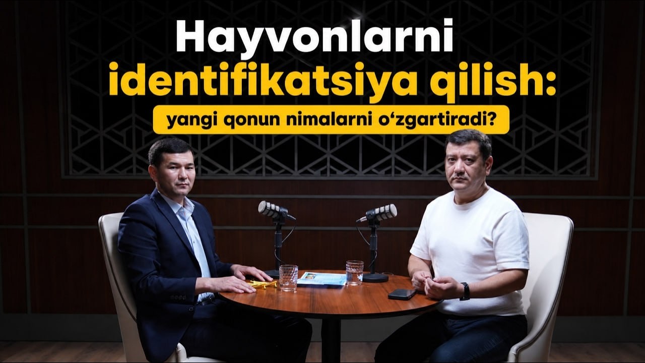 Hayvonlarni identifikatsiya qilish:yangi qonun nimalarni o‘zgartiradi?