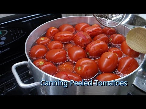 , title : 'Italian Grandma Makes Canned Peeled Tomatoes