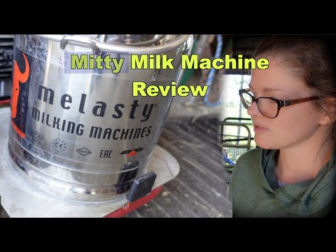 Milking a cow and goats: Melasty Mitty Milk Machine Review! Great for Cows and Goats!
