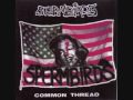 Spermbirds - Only a phase 