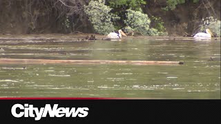 City and Epcor react to Edmonton rainstorm