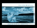 Kim Richey - Didn't I (1999)