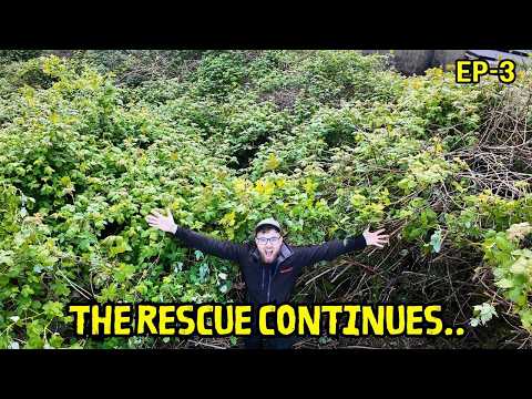 AN EXPENSIVE MISTAKE.. On This Garden Makeover. Helping Peggy Ep 3