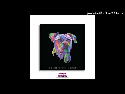 Ice_Beats_Slide_&_Troy_willmake_&_Tyler_ICU_My_Friend_feat_Tyler