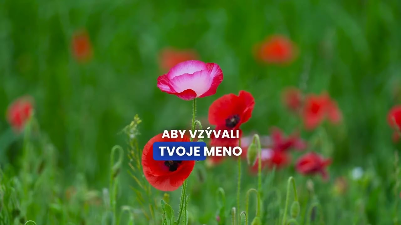 Prehrať video