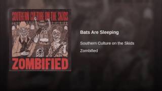 Bats Are Sleeping