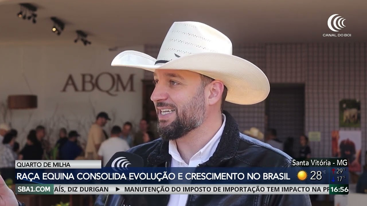 Cavalo da raça quarto de milha consolida evolução e crescimento no Brasil
