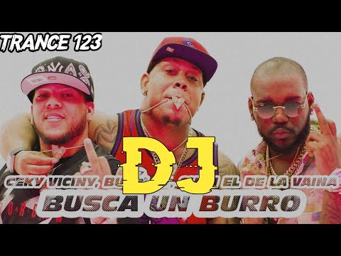 Bulin 47 Dj Song | Busca Un Burro Dj | Ceky Viciny Dj | Bulin New Dj Song | Hard Bass | Trance 123