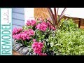 Easy Tips for Planting Beautiful Outdoor Flower Pots