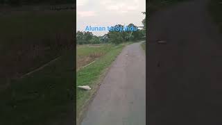 Download lagu Sundaisme Degung bernada mp3 Download lagu Sundaisme Degung bernada mp3