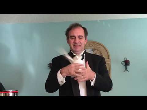 Dove Pan and Cage Exchange - Rene Teboe Magic