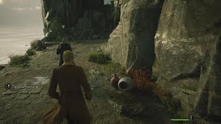 Pineappler plays Hogwarts Legacy