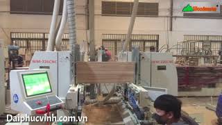 Mộng dương 2 đầu 6 dao, phay một lần 3 cây năng suất X3 | Woodmaster |