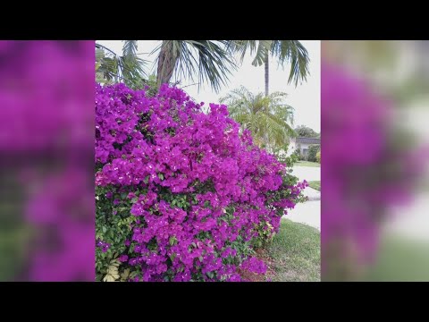 What Caught My Eye: June 4, 2023