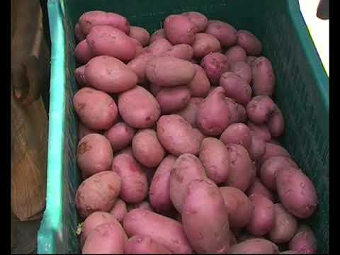 Les réalisations du PAMEDII