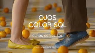 Ojos Color Sol - Calle 13