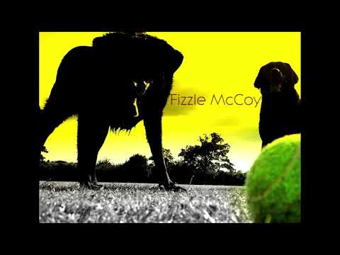 Fizzle McCoy - Decider