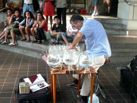 Class Organ Player in Alexandria