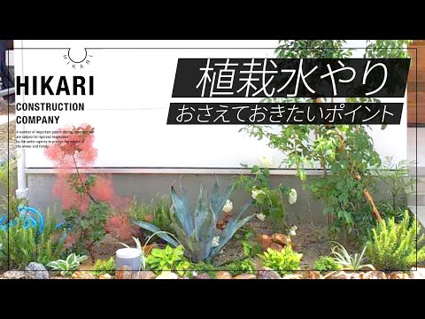 嵐の前後にプールを維持するにはどうすればよいですか?きれいな水を見つけるために知っておくべきことすべて  庭園