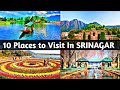 10 Famous Places to Visit in Srinagar District || Srinagar Famous Tourist Attractions || The Honest