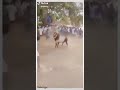 Kavithaiye Theriyuma Song Bull Version Jallikattu Tamil Nadu