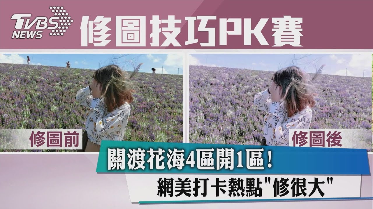 關渡花海4區開1區 網美打卡熱點「修很大」