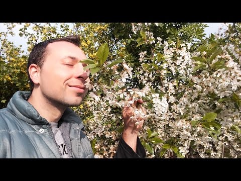 fehér virágzás a nemi szemölcsök után