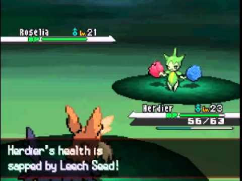 Pokemon Blaze Black Walkthrough 15 - Pinwheel Forest part 1