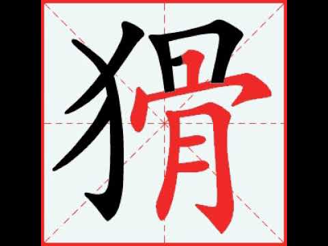 【一笔一划写中文】怎样写猾字，猾字怎么写，How to write chinese