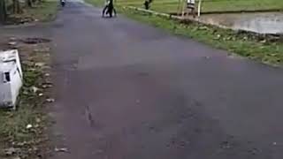 Download lagu Jampingan😂DJ wikwik aisyah masuk pak eko remix mp3